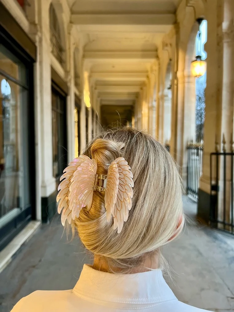 Hair Clips - Image 4