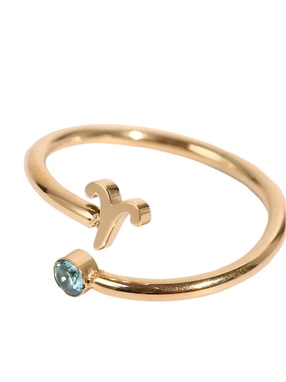 Zodiac Sign Stainless Steel Ring - Image 11
